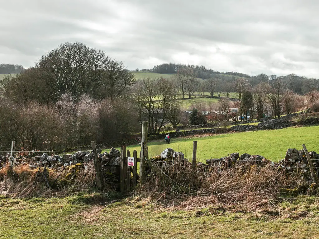 A small wooden gate in a short stone wall, leading to a large grass field.There are two people walking in the field ahead, towards another stone wall and lots of leafless trees.