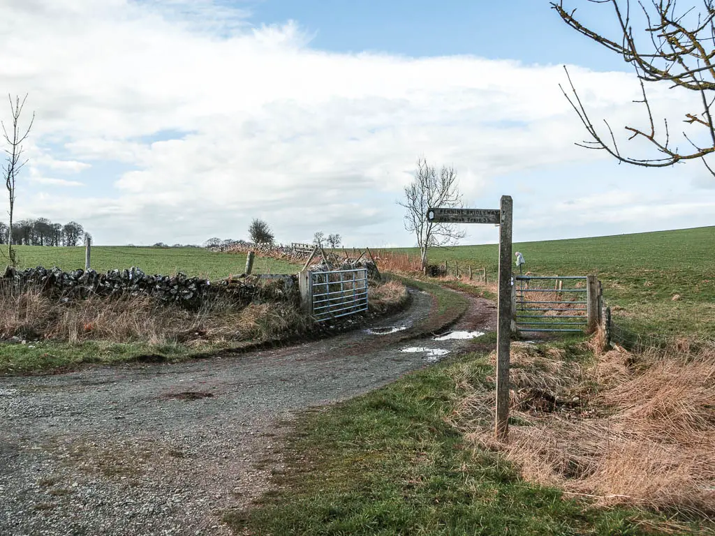 A gravel path leading ahead through open metal gates. There is a wooden trial signpost on the right side of it.