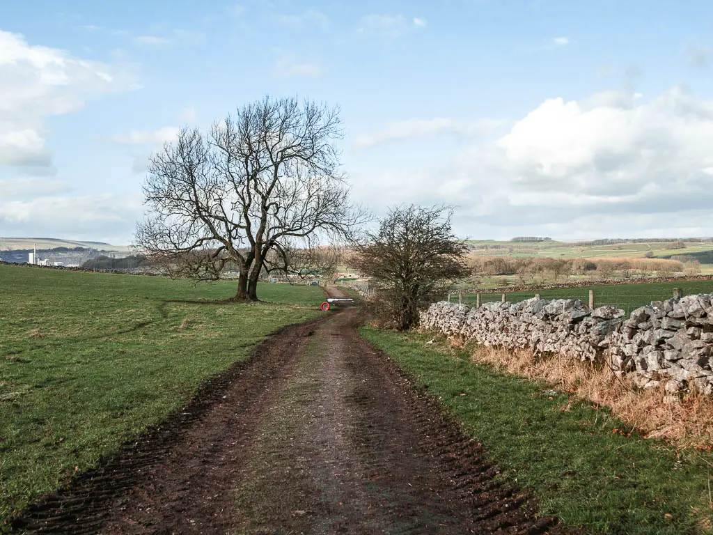 A dirt track running through a grass field, with a strewn wall on there right, and a couple of leafless trees ahead.