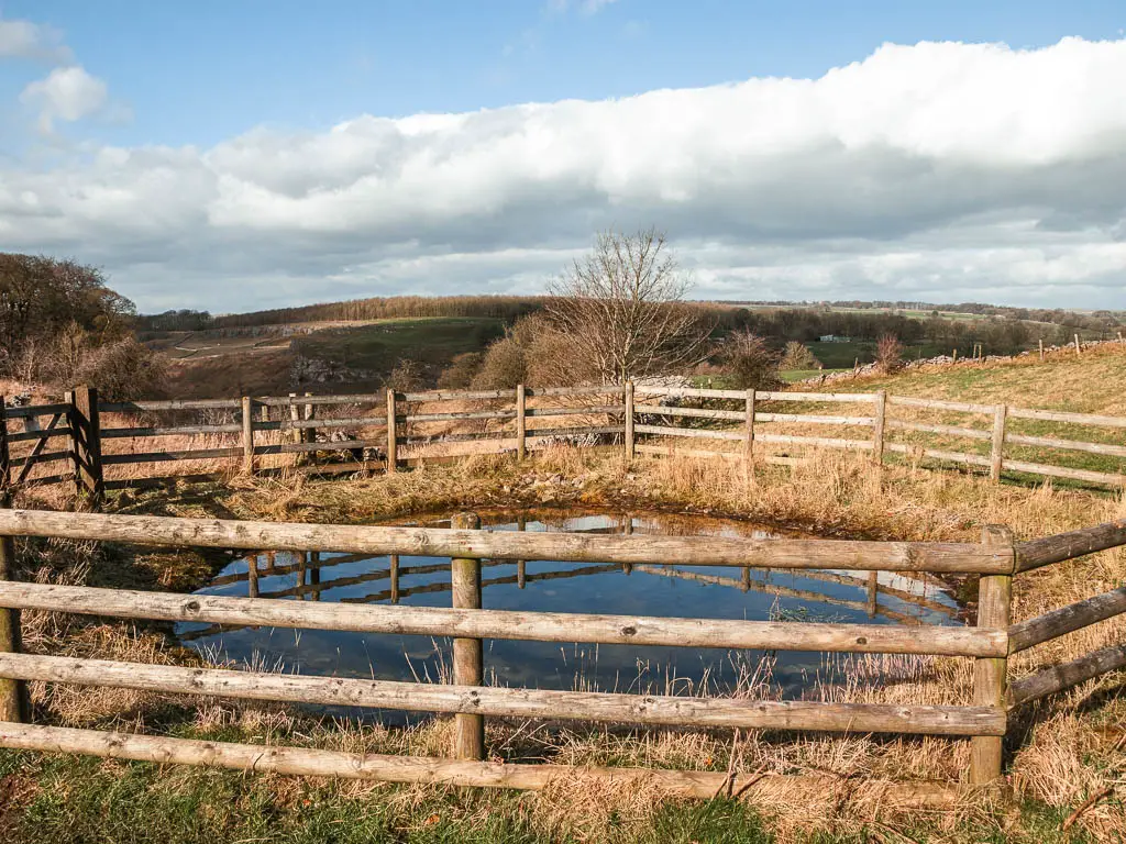 A small pond, enclosed by a wooden fence.