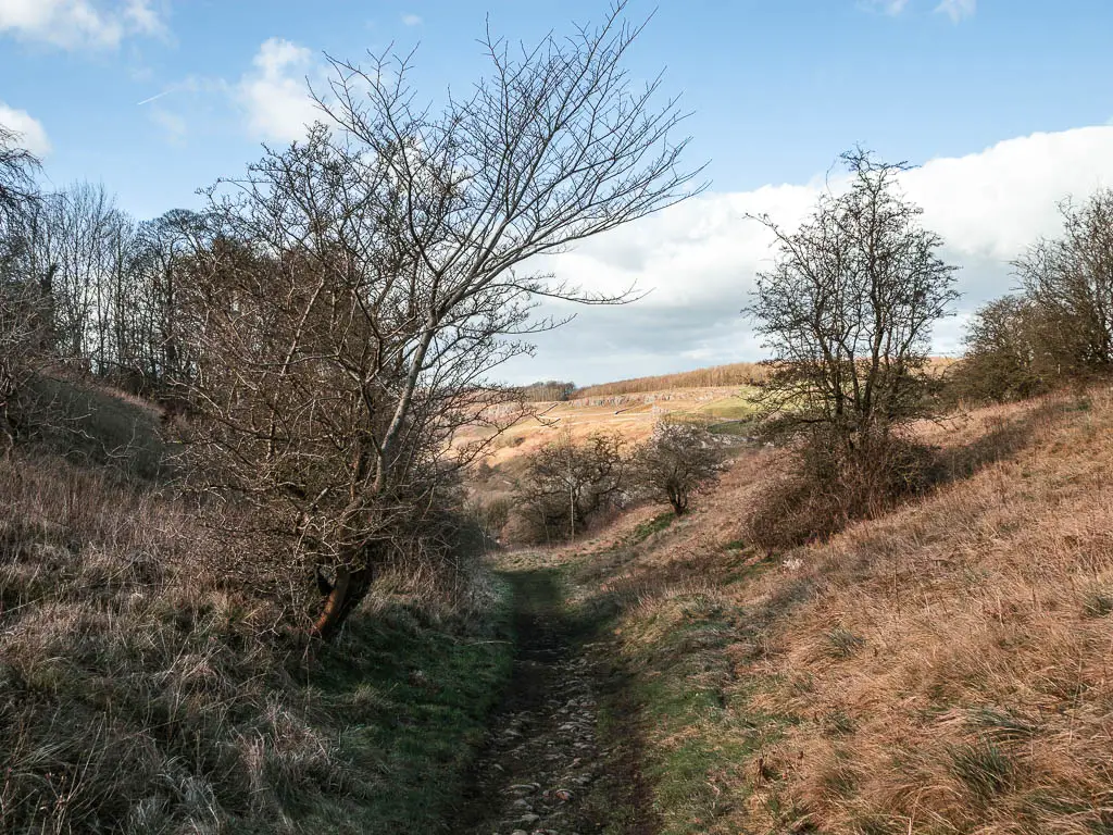 A dirt trail running along the middle of two hill slopes.