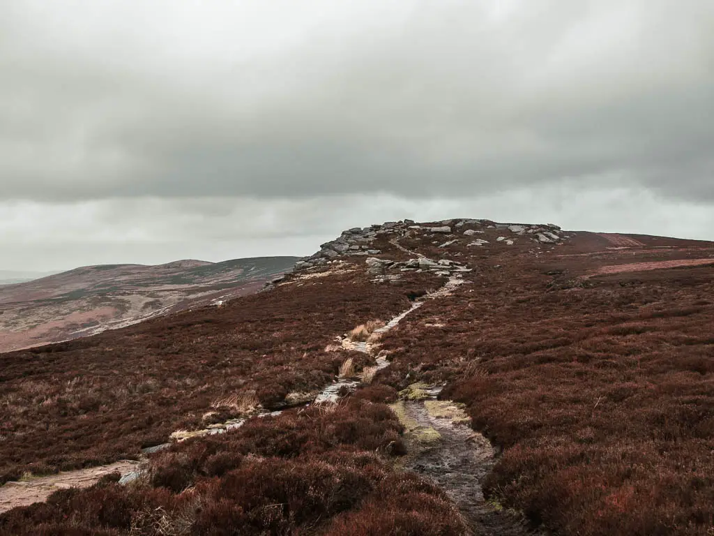 A dirt trail snaking through the brown heather, towards a rocky tor ahead, on the walk along Derwent Edge.