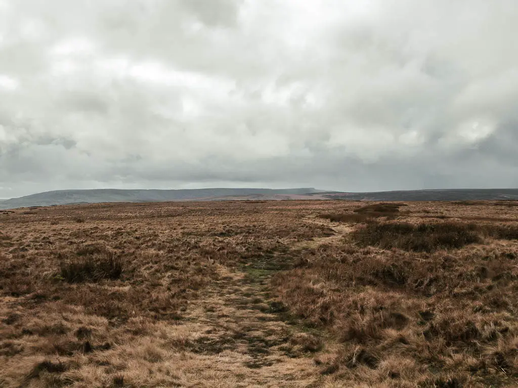 A barely visible grass trail through the moors.