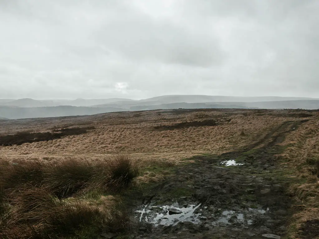 A muddy trail through the moors.