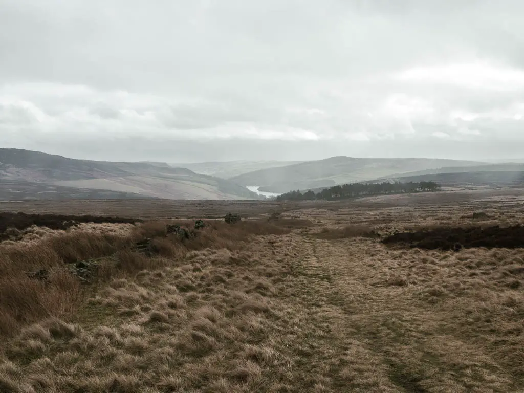 A grass trail with a view to Derwent Edge on the left, and a view way ahead in the distance towards the reservoir. It's a misty day.