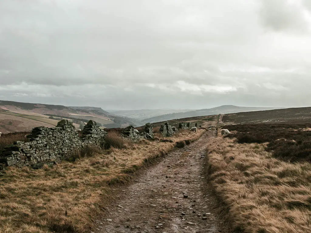 A gravel trail, with wall ruins to the left, on the walk below Derwent Edge.