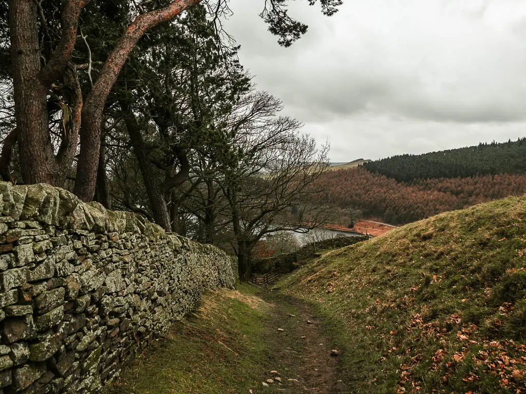 A dirt trail leading down hill, with a small grass hill to the right, and a stone wall to the left, lined with trees. There is a peak to the reservoir ahead through the trees.