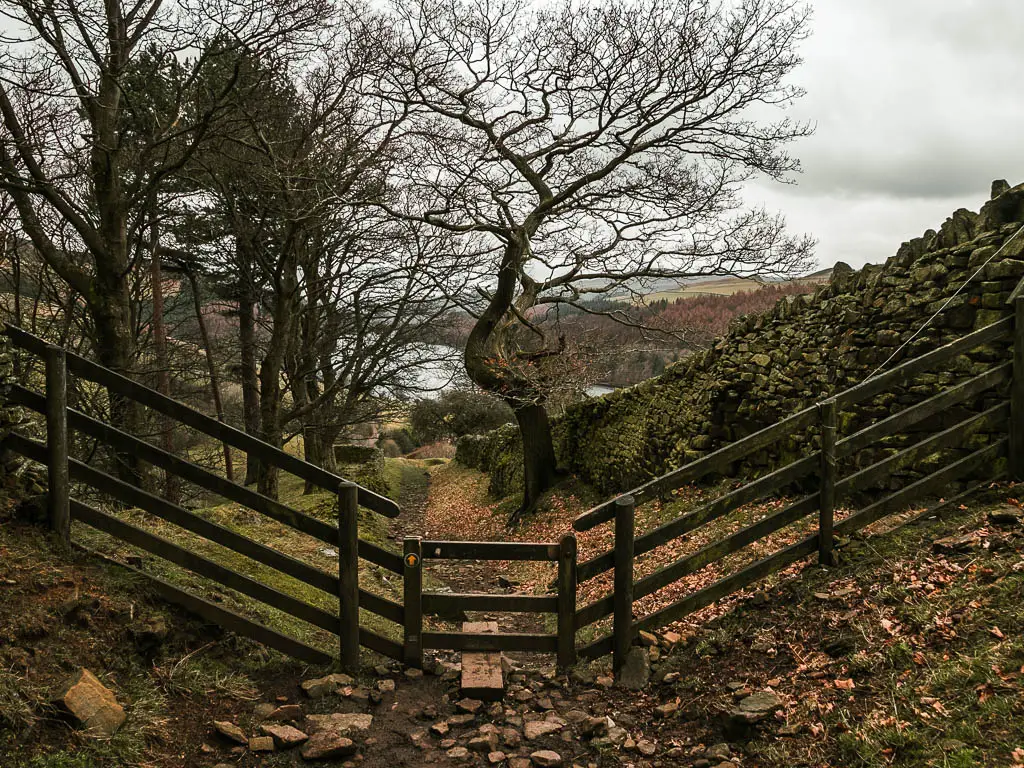 A wooden fence with a stile in the middle. There is a rocky dirt trail leading through it, with a stone wall on the right.