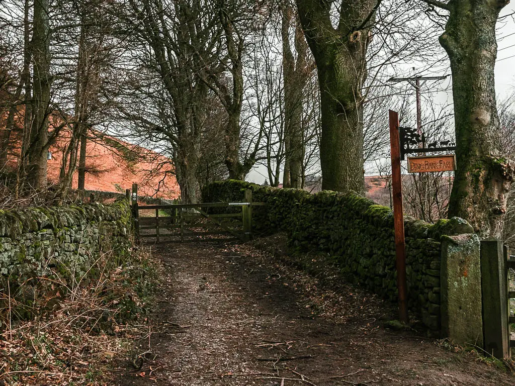 A dirt trail. lined with moss covered stone walls, and trees. There is a wooden sign on the right.