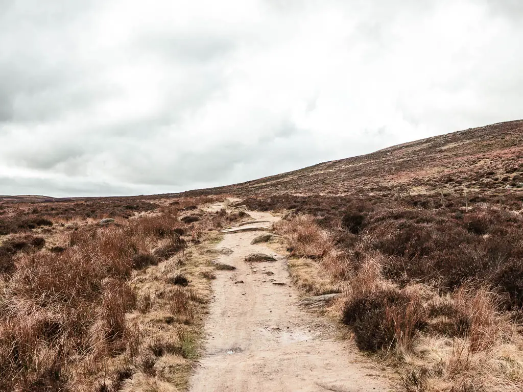 A path lined with brown and pale hay grass.