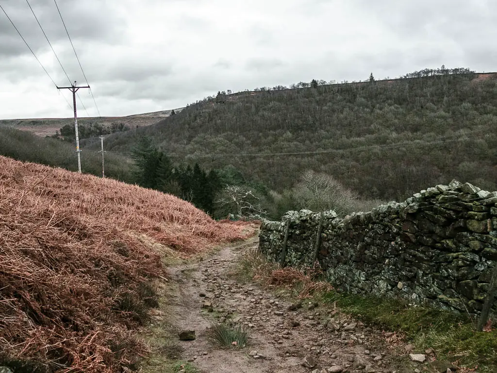 A stoney dirt trail with a stone wall on the right, and woodland covered hill ahead.