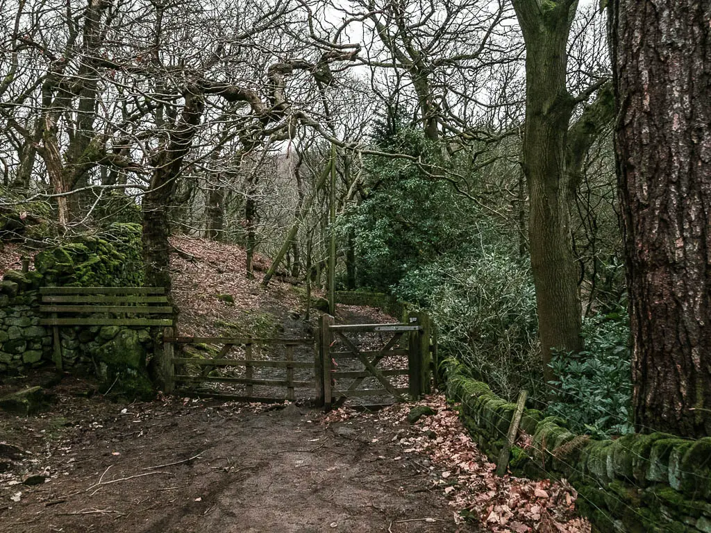 A dirt trail leading through a wooden gate under woodland.