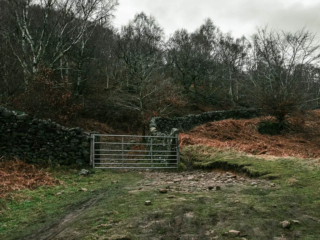 A metal gate in the stone wall, leading to woodland with leafless trees.