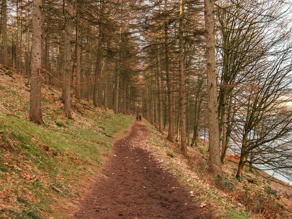 A dirt trail leading through the woods with leafless trees. There are two people walking along it in the distance.