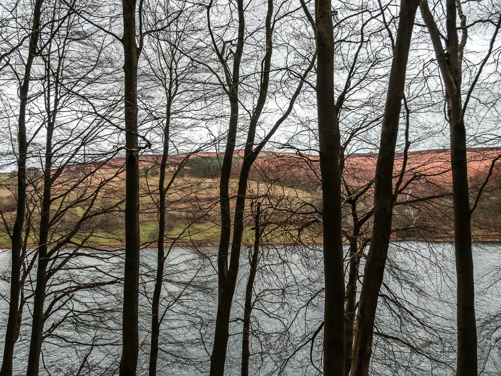 Looking through the trees to the water and hills on the other side.