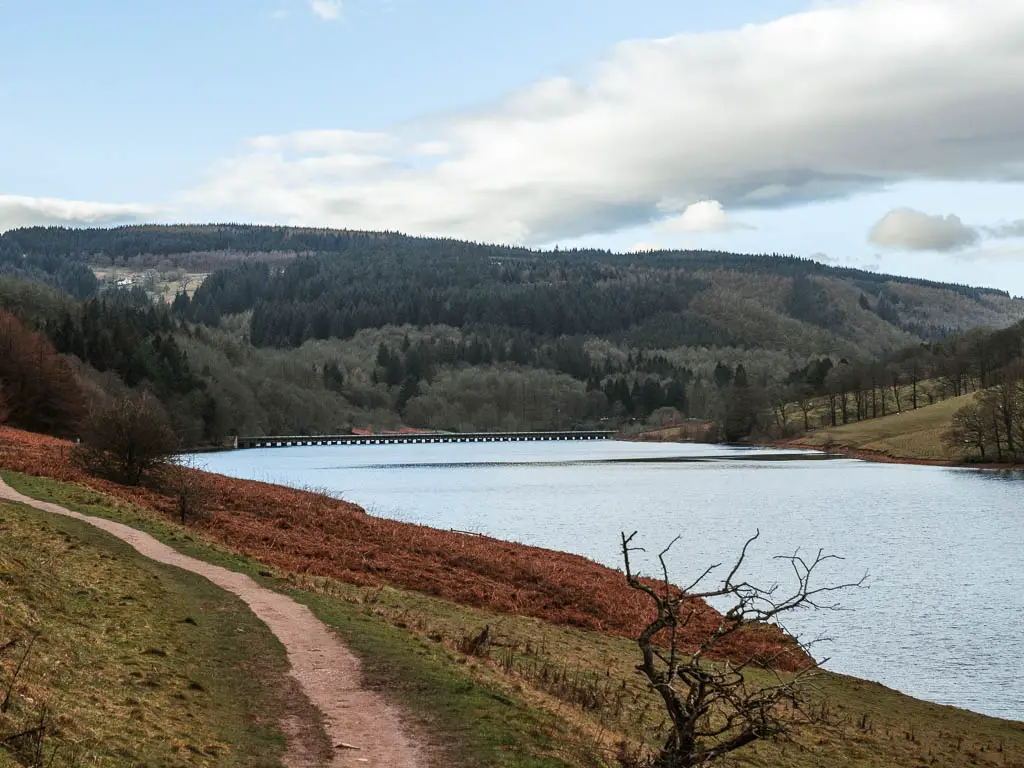 A narrow trail on the left, with the water to the right, and a mass of green woodland on a hill on the other side.