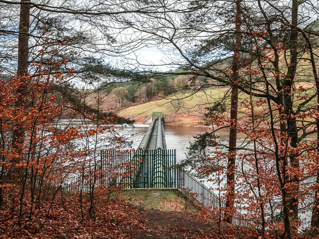 Looking through a gap in the trees with orange and red leaves, to pipes running over the Ladybower Reservoir, near the north end of the walk.