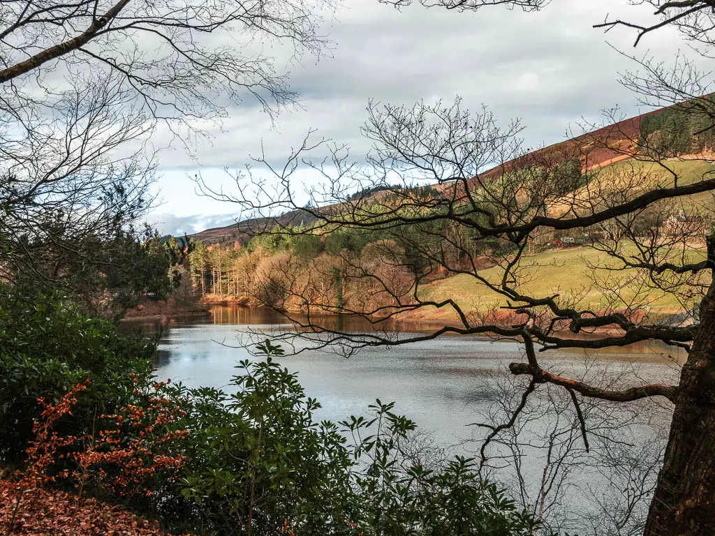 Looking through a gap in the trees to the Ladybower Reservoir, on the walk around the northern end of it. There is a hill with a group of green leaved woodland trees on the other side. 