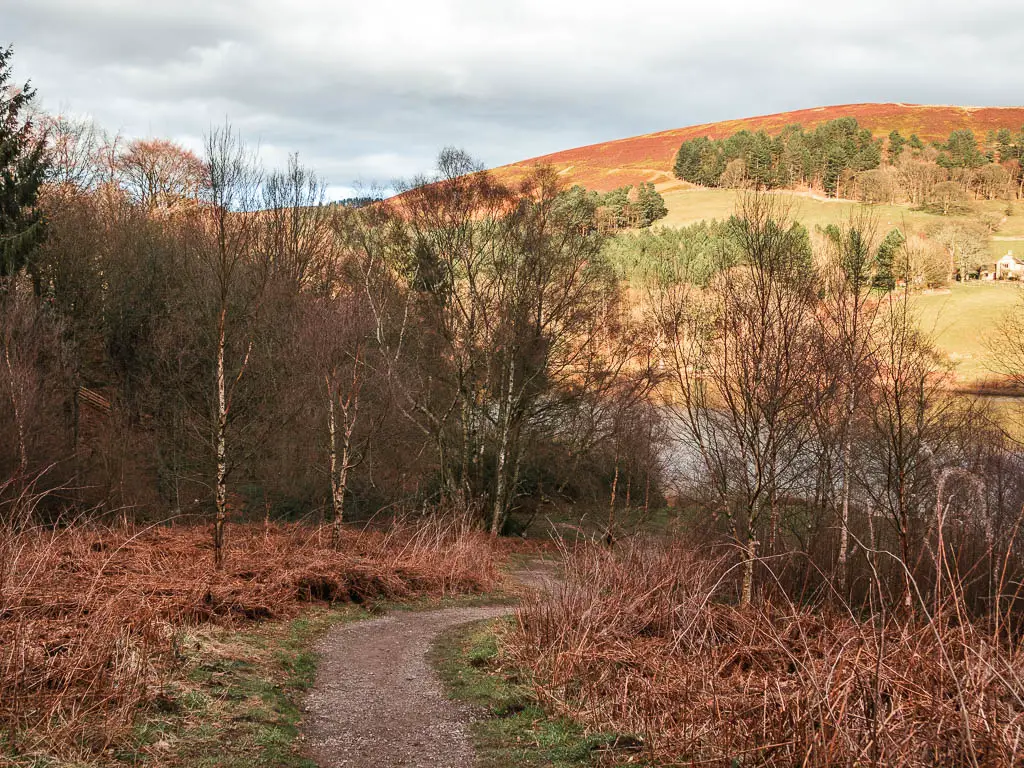 A dirt trail leading downs to some woodland.