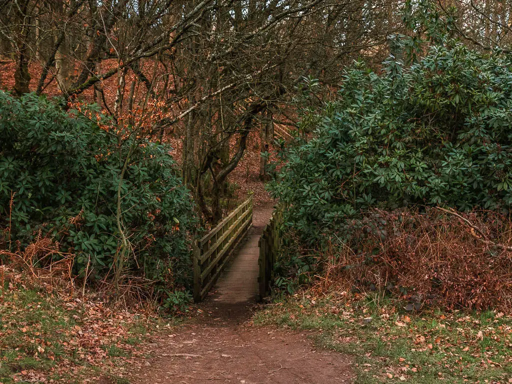 A small wooden bridge surrounded by green leafed bushes.