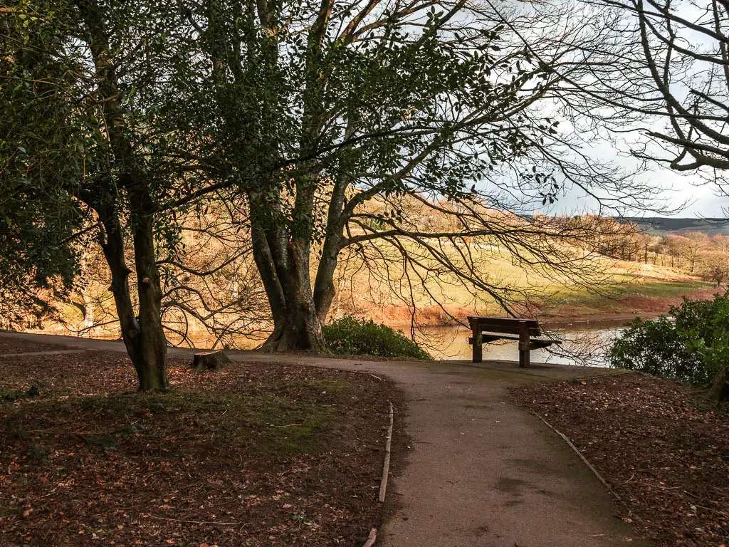 A wide path leading ahead and left, with a wooden bench placed looking out to the water. 