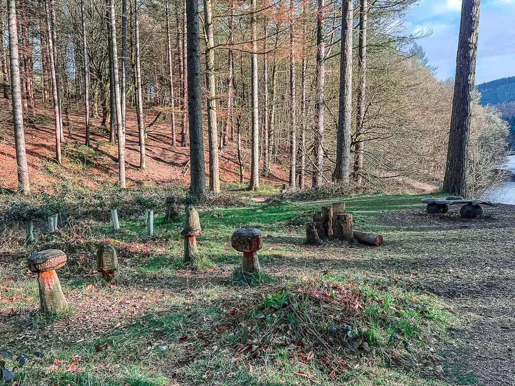 Lille wooden mushroom stools in the woodland.