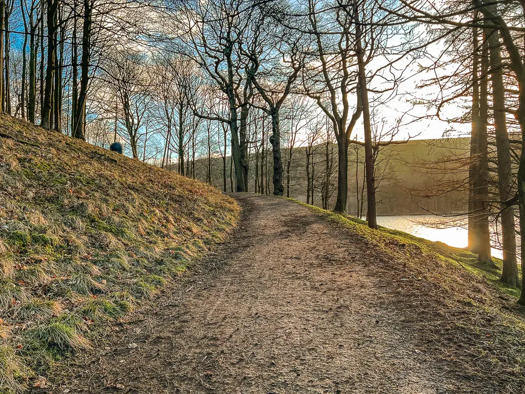 A dirt trail leading uphill under leafless trees. There is a green grass uphill bank to the left if the trail. The sun is shining through the trees.