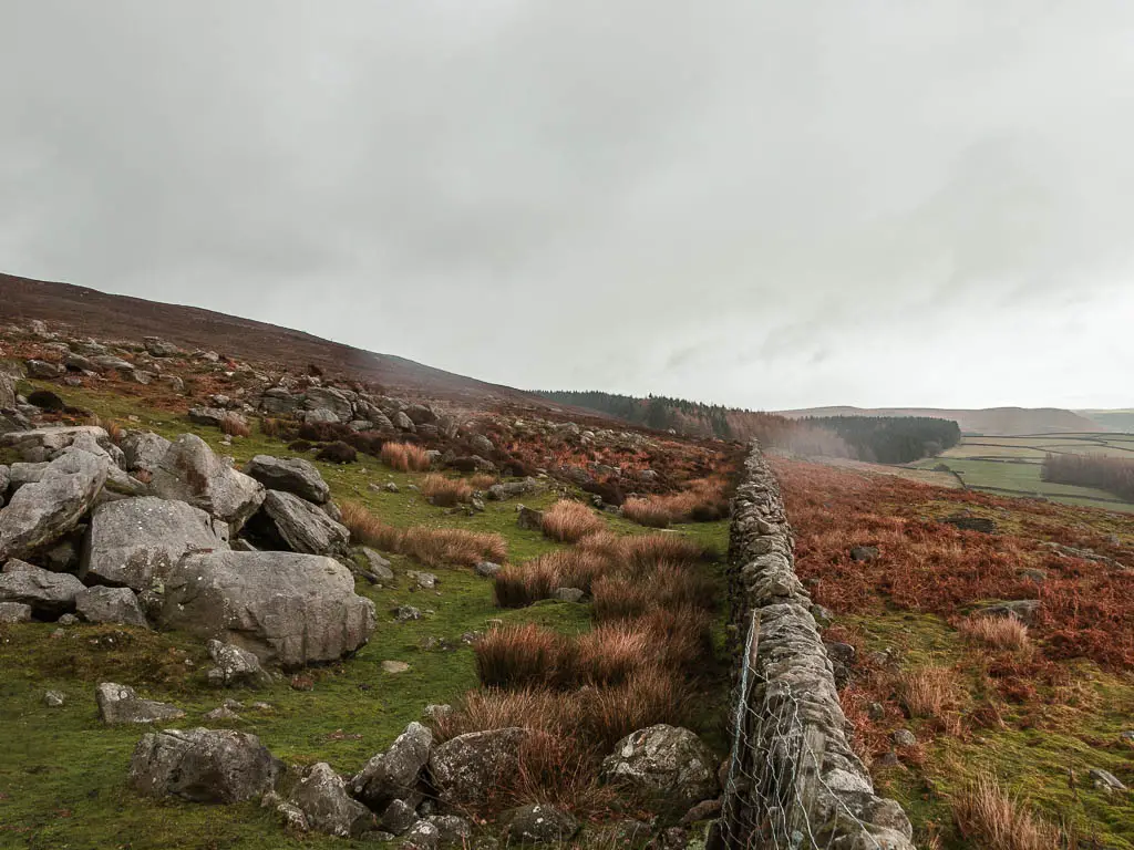 A stone wall running across the hill field with lots of rocks and tufts of orange and brown grass.