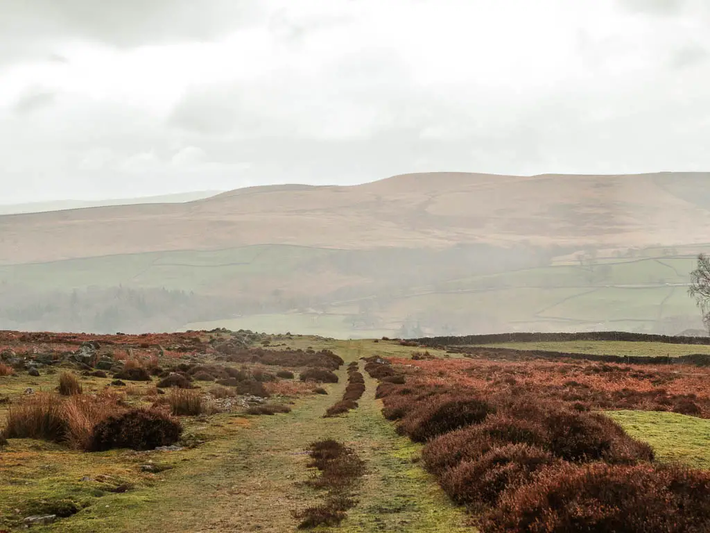 Looking down the grass trail, with a view to the mist cover hills, on the walk up to Simon's Seat.
