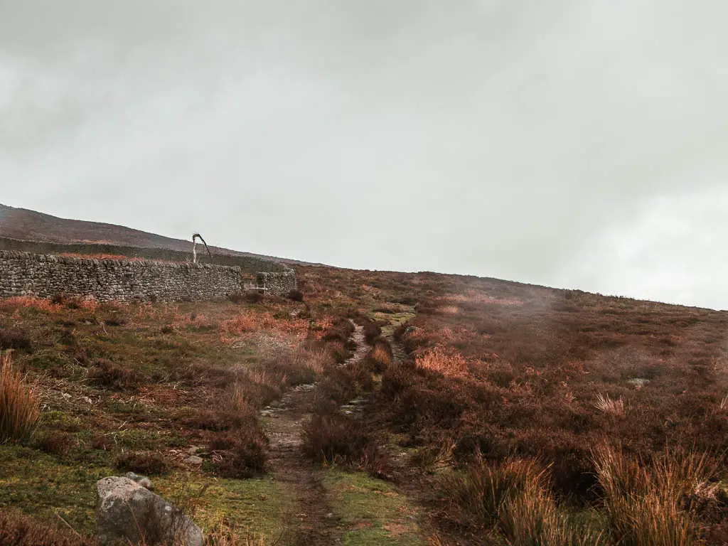 A barely visible trail surround by tufts of brown grass, and a stone wall to the left.