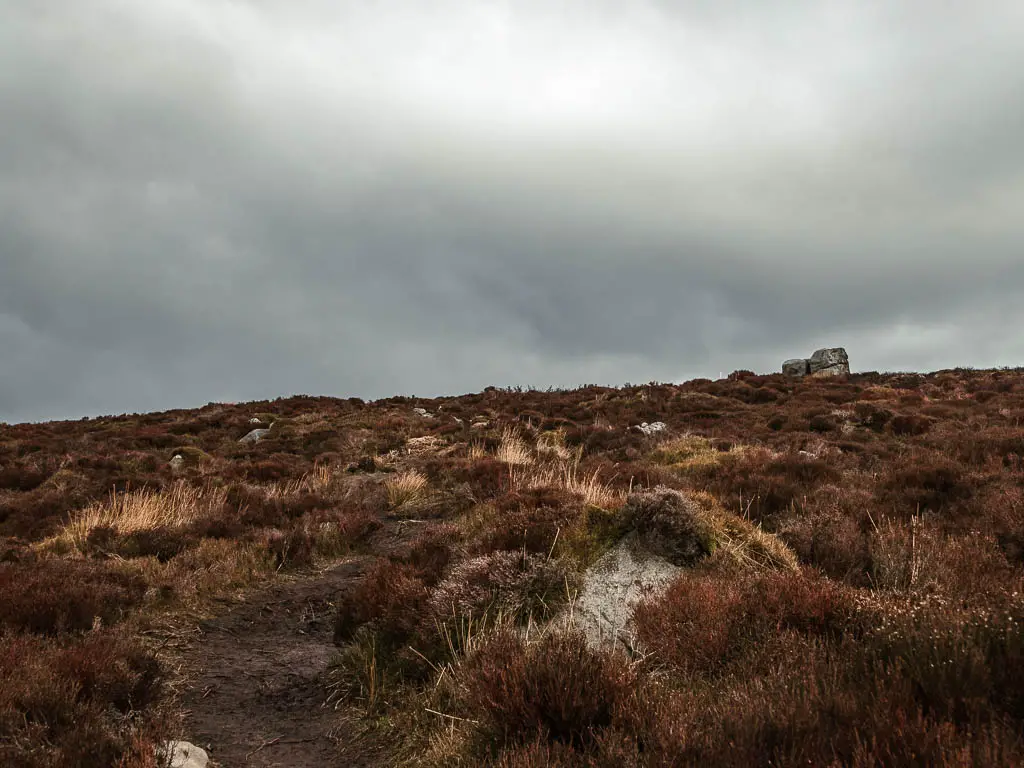 A rocky dirt path surrounded by dead brown plants.