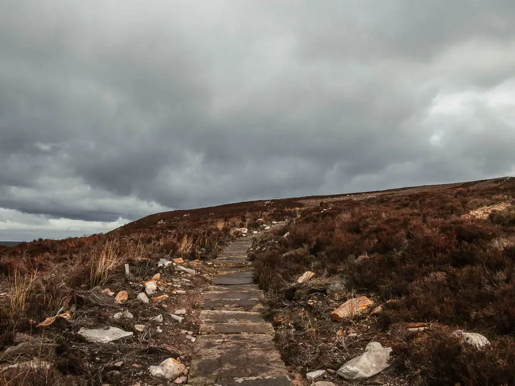 A stone path trail on the walk up to Simon's Seat. It is surround by rocks and dead fern.