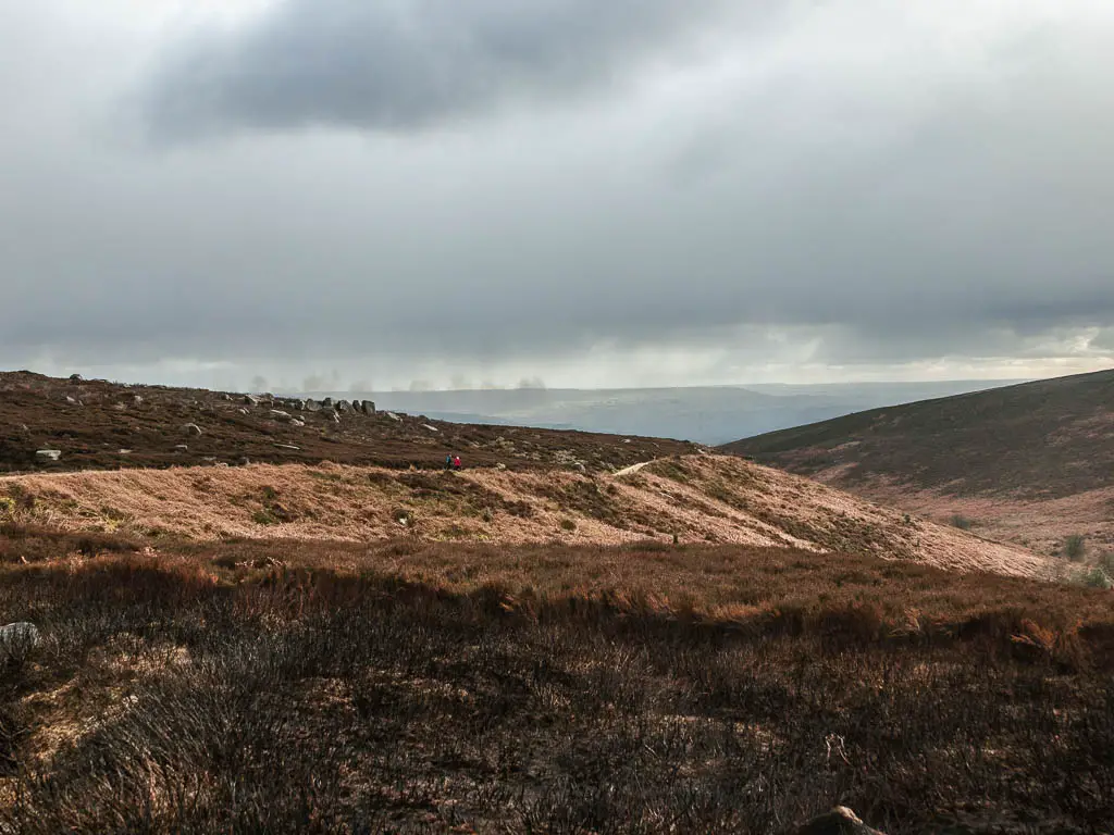 Looking across the moor to the side of a hill ahead, with a couple of people walking along the side, on the walk down from Simon's Seat.