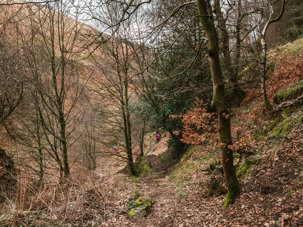 A dirt trail leading downhill through the trees in the Valley of Desolation, and a couple of people walking on the trail ahead.