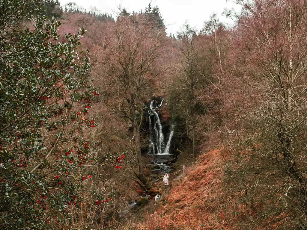 Looking through a gap in the trees towards a waterfall in the Valley of Desolation, after the walk down from Simon's Seat.