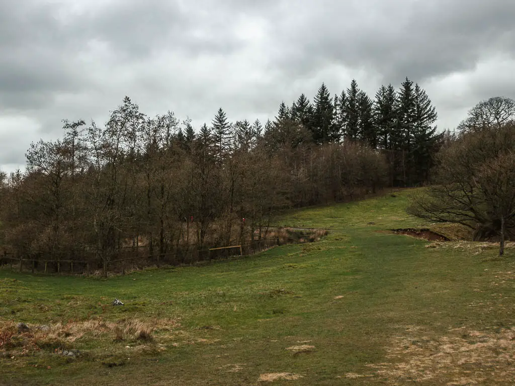 A large green grass field, with woodland trees ahead.