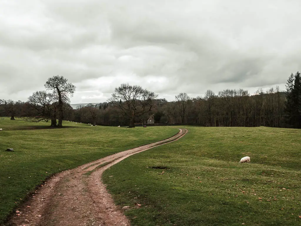 A trial winding through a large field, towards woodland trees on the other side.