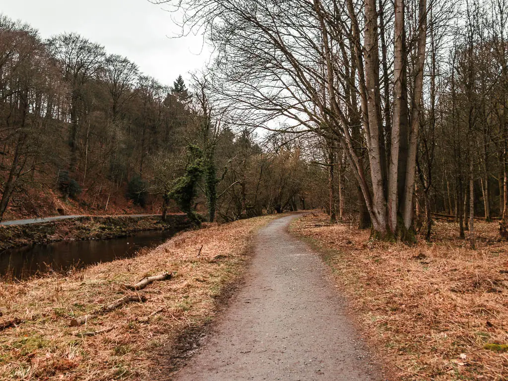 A trail, with the river to the left, lined with lots of leafless trees.