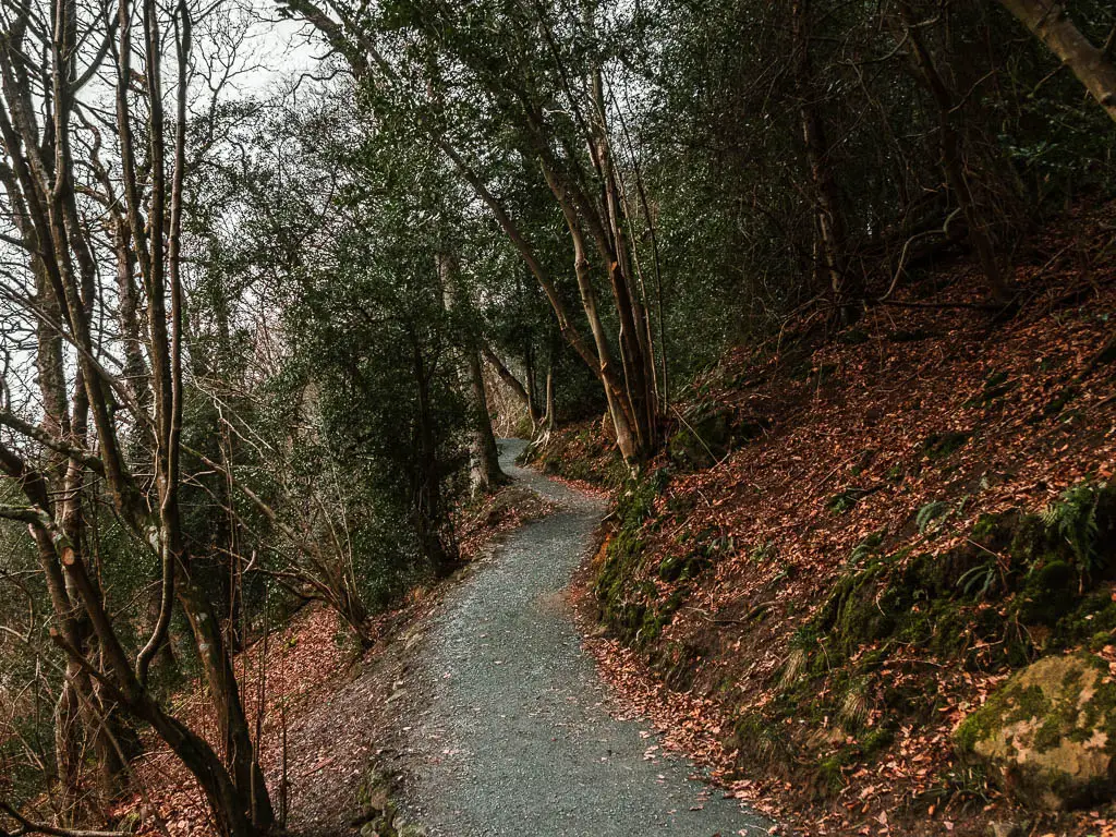 A path leading uphill, surround by trees.