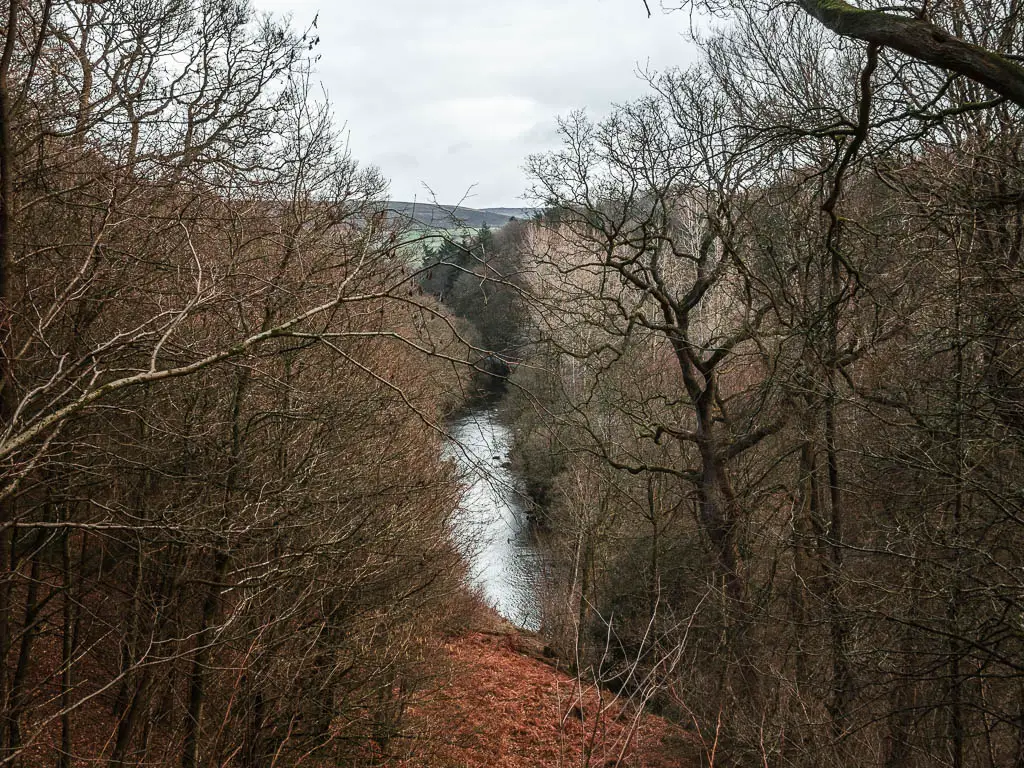Looking through a gap in the trees tor the river below.