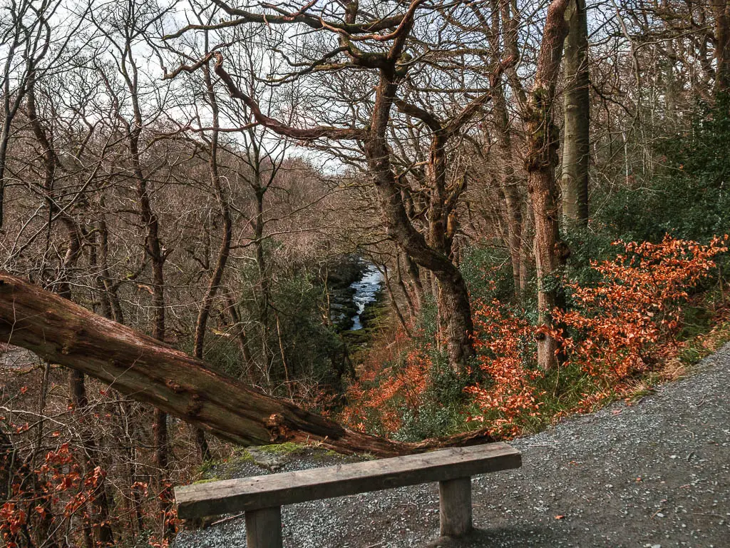 A wooden bench viewpoint, looking through a gap in the trees towards the river, on the circular walk back from Simon's Seat and the Valley of Desolation.