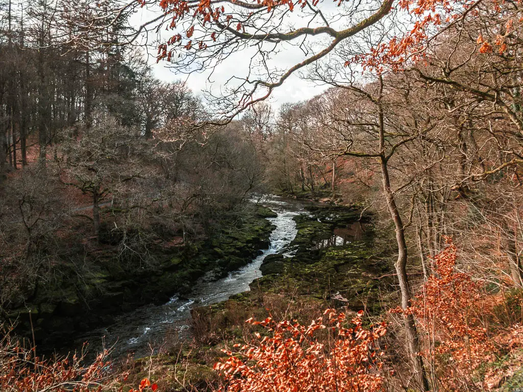 Looking down through the trees with orange leaves, towards a river flowing through the rocks, near the end of the circular Simon's Seat walk.