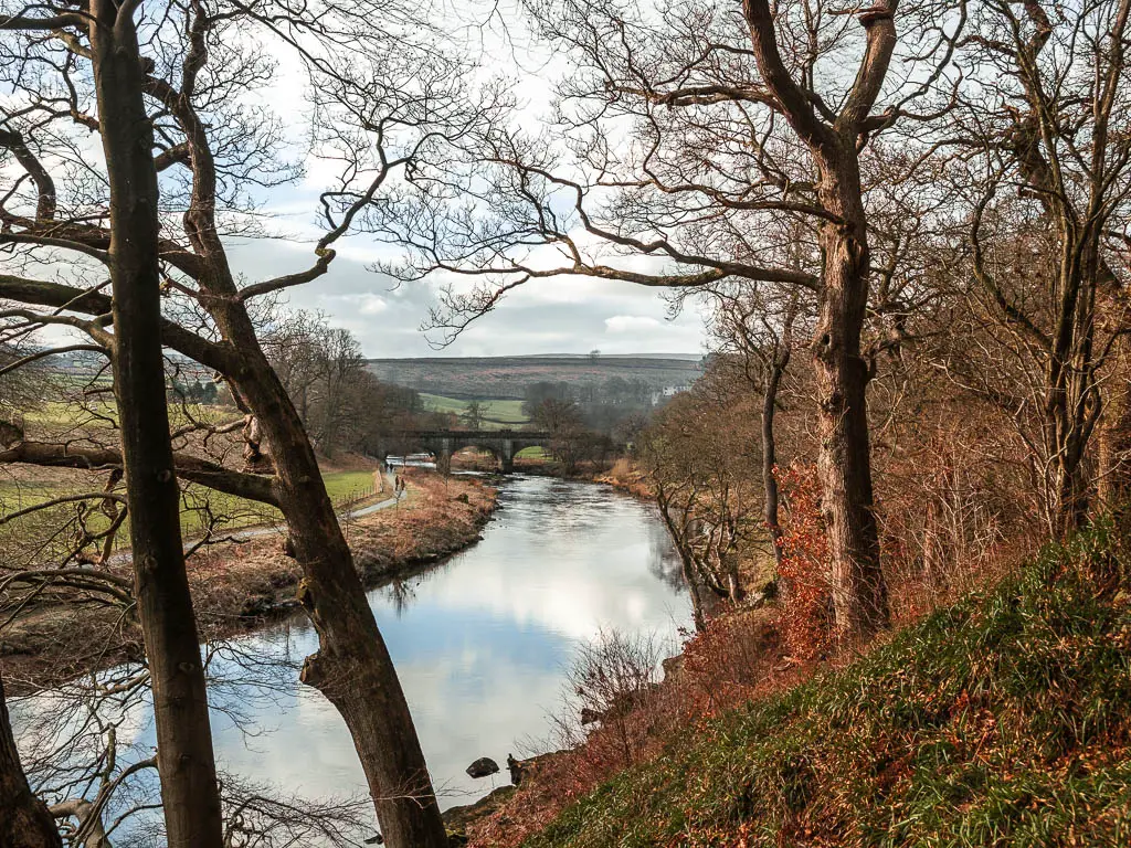 Looking through a gap in the trees, down to the river, and a bridge in the distance near then end of the Simon's Seat circular walk.