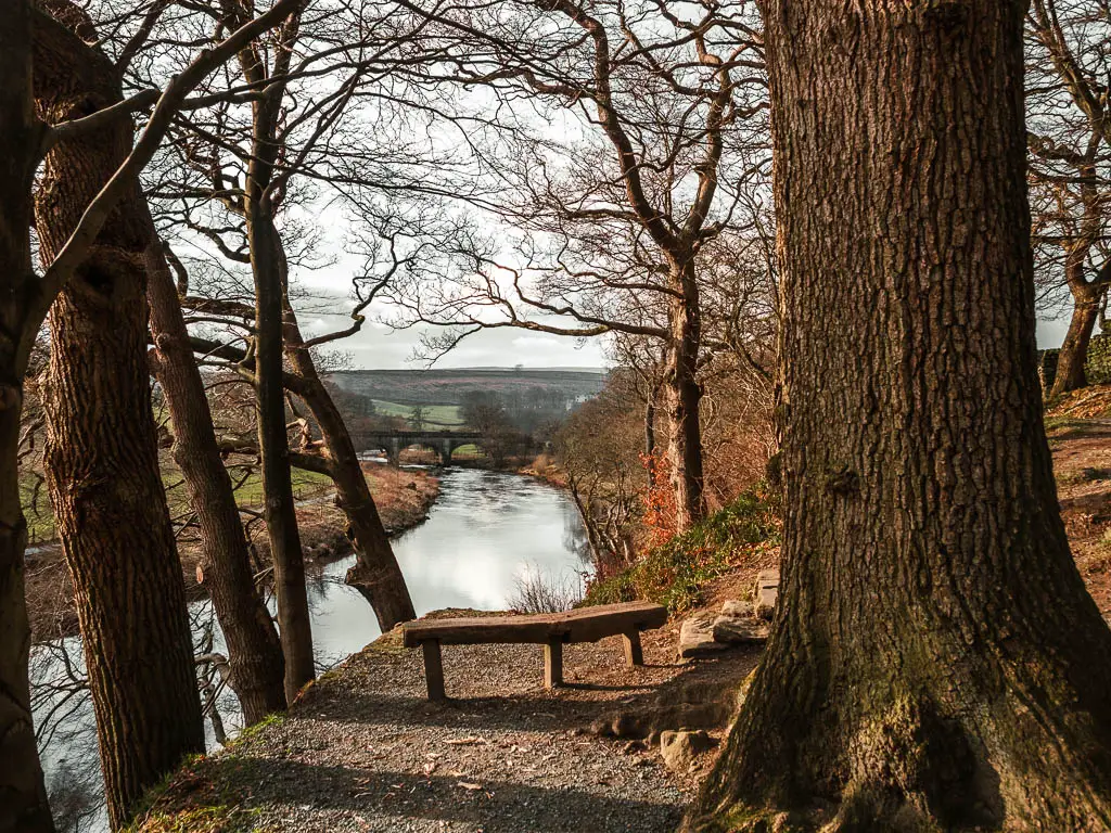 A wooden viewpoint bench looking down to the rover, with a view to an archway bridge ahead, near the end of the circular Simon's Seat and Valley of Desolation walk. There is a very large tree on the right.