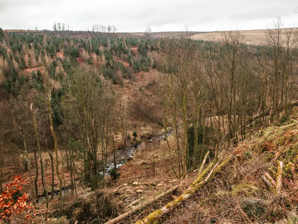 Looking g down into the valley full of leafless trees, and a river running through below.