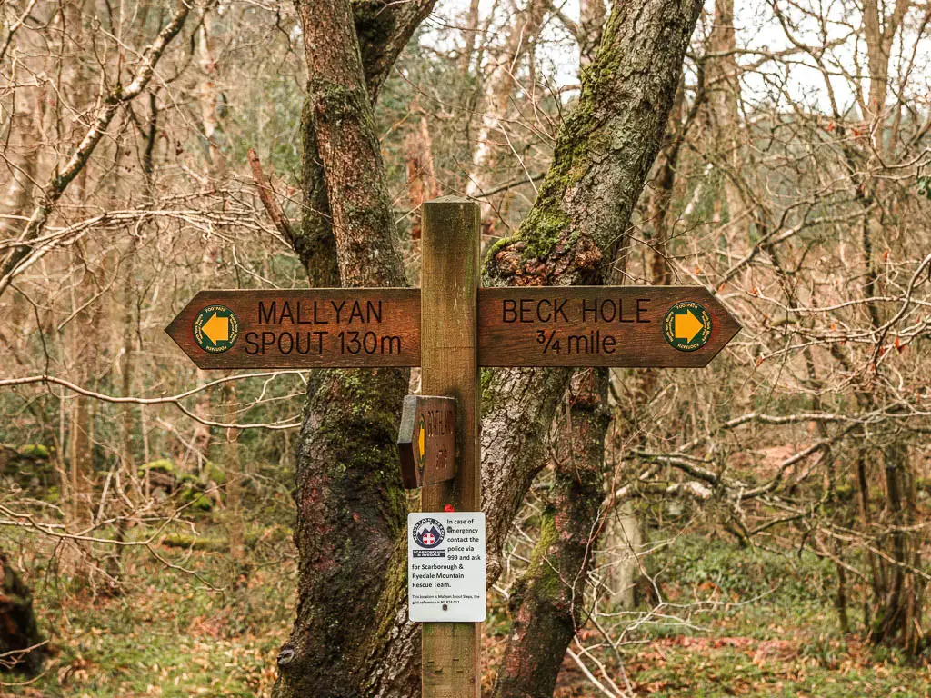 A wooden trail signpost inferno of a tree, pointing left to walk to the Mallyan Spout waterfall, and right to Beck Hole.