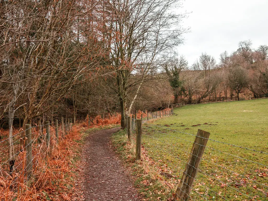 A dirt trail, lined with a wire fence, and trees on the left side, and a field on the right.