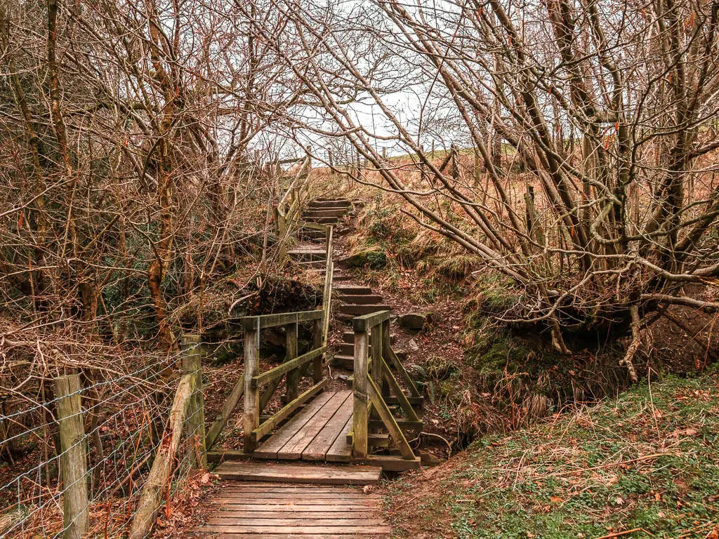 A small wooden bridge, leading to stone steps up the small hill, surround by leafless straggly tree branches. 