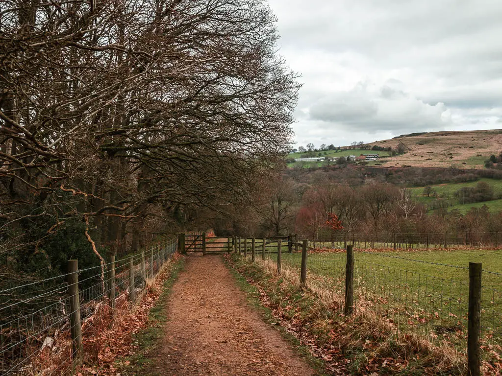 A wide dirt trail leading straight ahead towards a wooden gate. The trail is lined with a wire fence. There is a field on the right side, and trees on the left.