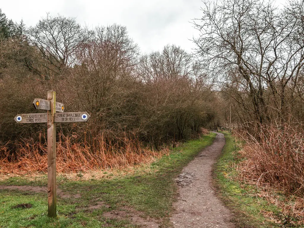 A dirt path on the right, and a wooden trail signpost on the left, marking the way to walk for Goathland, Grosmont, and the rail trail. The path is lined with trees.